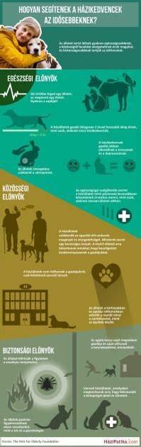 Macska vemhességi naptár infografika