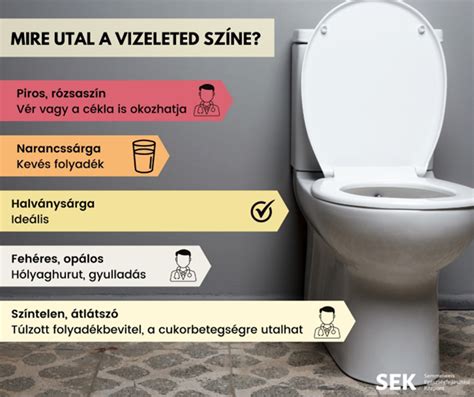 Reggeli első vizelet fontossága