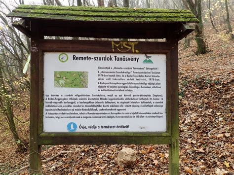 Remete-szurdok