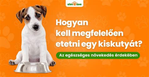illusztráció arról, hogyan kell etetni egy kisgyermeket