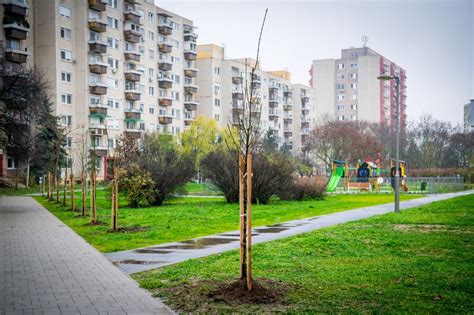 Zöld város koncepció