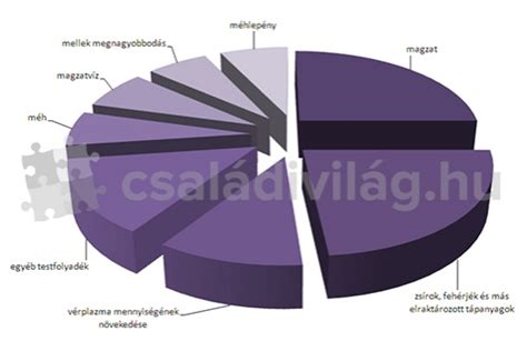 Szemléltető ábra a terhesség alatti súlygyarapodás összetevőiről