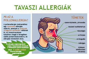 Eper allergia tünetei infografika