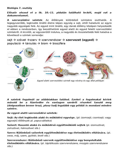 Egy éves kor alatti és feletti szoptatási és hozzátáplálási arányokat bemutató grafikon