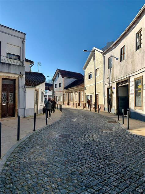 gyámügy