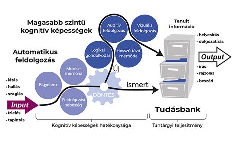 transzplantáció folyamata