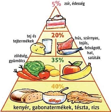Egészséges étkezési piramis