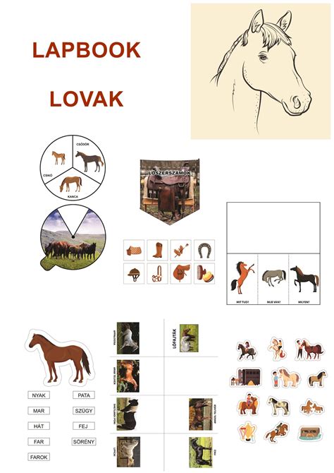 Képzeletbeli lovak országa