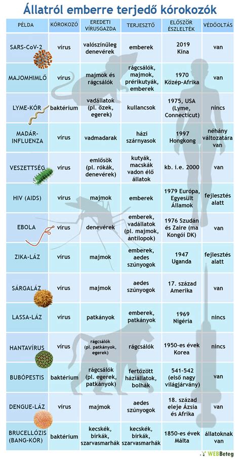 Zoonózis kórokozók terjedési útvonalai