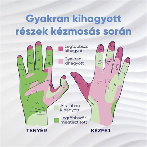 Rendszeres kézmosás és állattartás