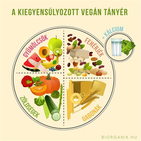 Tányér kiegyensúlyozott étkezéssel