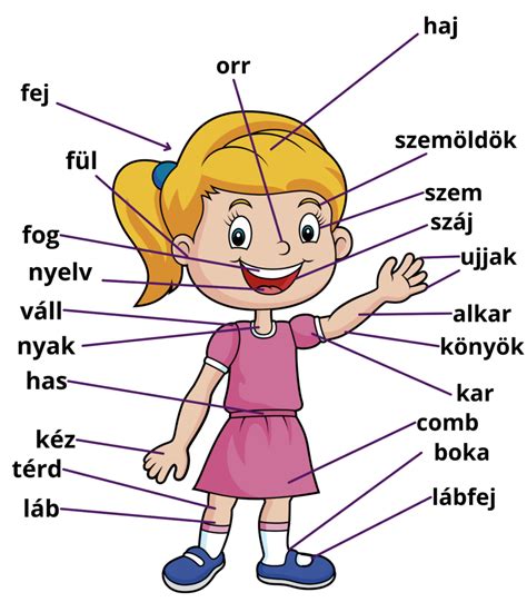 Gyermekortopédiai vizsgálat során vizsgált testrészek és esetleges problémák