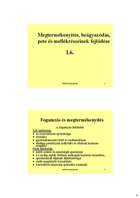 A megtermékenyítés és beágyazódás folyamatának illusztrációja