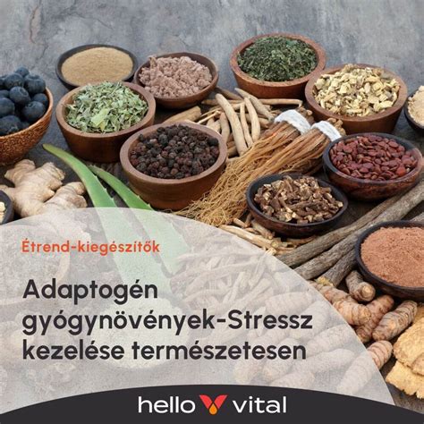 Gyógynövények stressz és alvászavar ellen