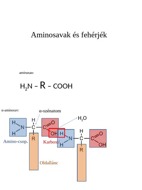 Fehérjék forrásai babáknak