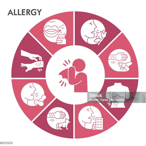 Az allergia kivizsgálásának lépései infografika