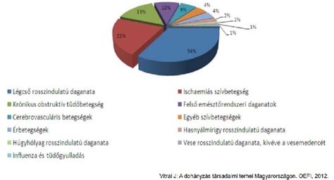 Anorexia tünetei és hatásai a szervezetre