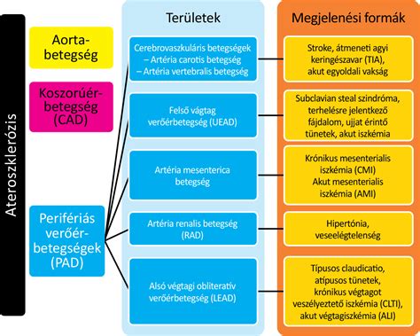 A trombocitopénia súlyossági kategóriái