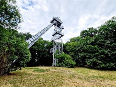 A Ranzinger Vince Kilátó és a panoráma