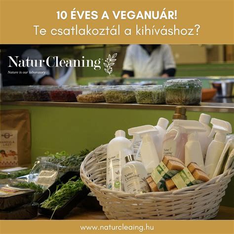 Vegyszeres és természetes tisztítószerek összehasonlítása