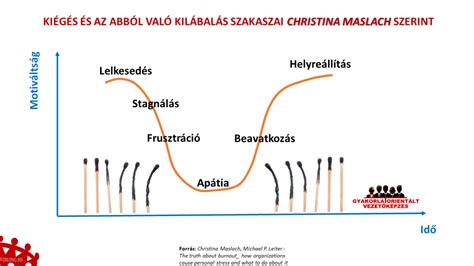 A tüszőfejlődés szakaszai