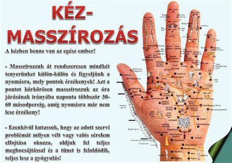 A kéz idegeinek elhelyezkedése