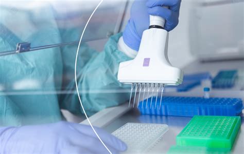 PGT (Preimplantációs Genetikai Tesztelés) folyamata