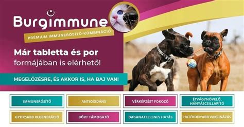 Infografika a Pentaxim által védett betegségekről és a vakcinázás fontosságáról