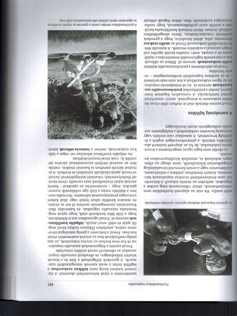 A bárányhimlő kiütéseinek fejlődési szakaszai