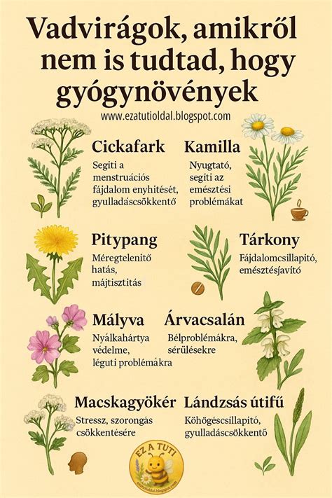 Gyulladáscsökkentő gyógynövények az ínygyulladás ellen