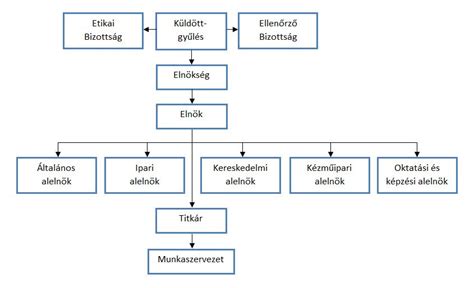 A védőnői hálózat szervezeti felépítése