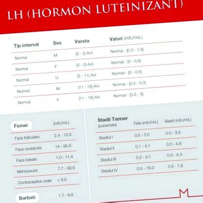 A luteinizáló hormon (LH) szerepe az ovulációban
