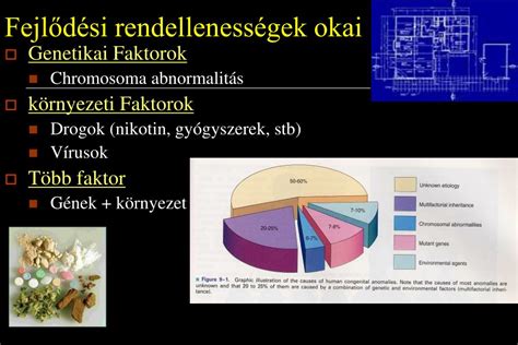 Különböző fejlődési rendellenességek illusztrációja