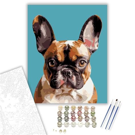 Francia bulldog portré