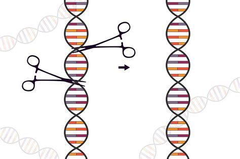 DNA spirál ábrázolása, genetikailag módosított jelöléssel