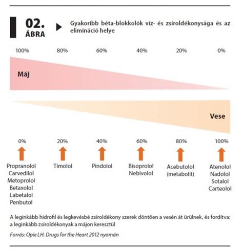 Béta-blokkolók hatásmechanizmusa