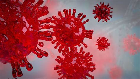 HIV vírus elektronmikroszkópos képe