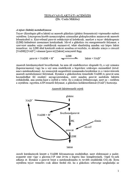 A tejsavas acidózis tünetei
