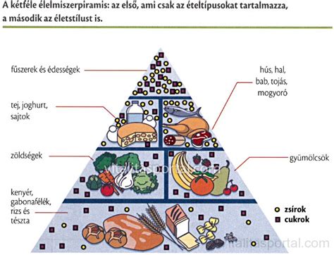 Élelmiszer piramis terhességi cukorbetegség diétájához