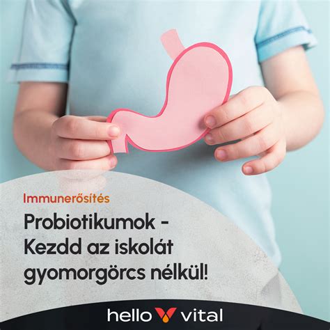 A bélflóra egészségét bemutató ábra, probiotikumok hatása