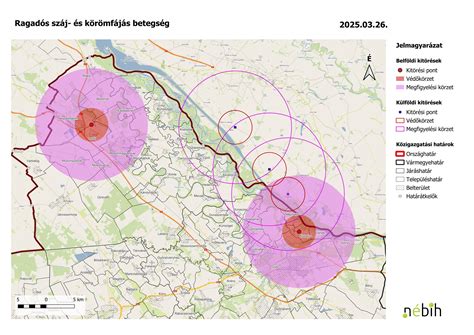 A száj és arcizmok fejlődése