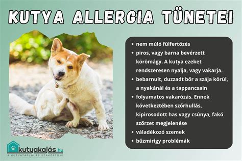 Allergia tünetei csecsemőknél