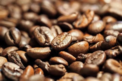 A koffein lebontási ideje csecsemőknél és felnőtteknél