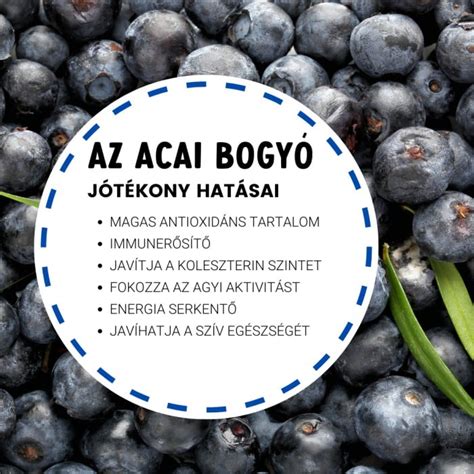 Acai pálmafa és fürtökben növő acai bogyók