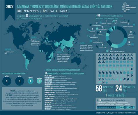 Infografika a vetélés okairól és kockázati tényezőiről