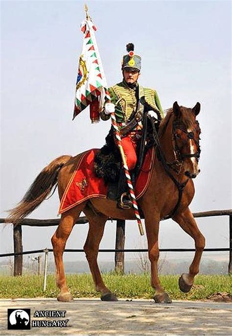 Hagyományos magyar huszár díszes lovon