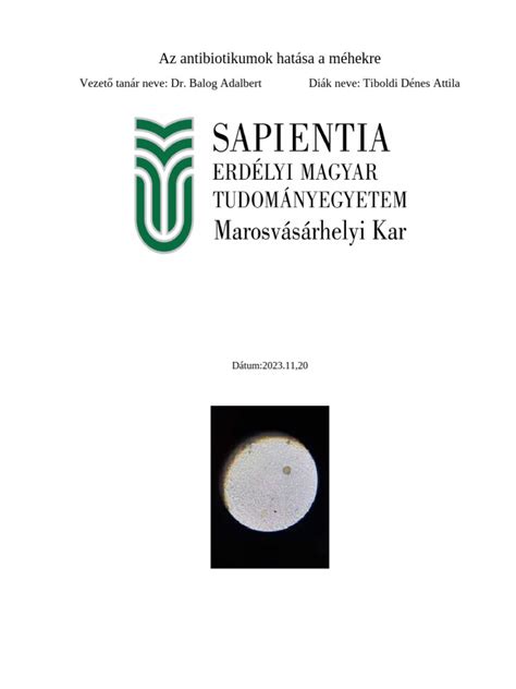 A makrolid antibiotikumok hatása a magzati fejlődésre