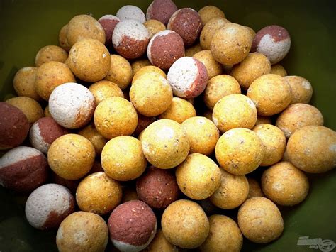 különböző cumiminták