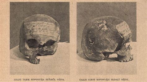Baba koponyája és kutacsai