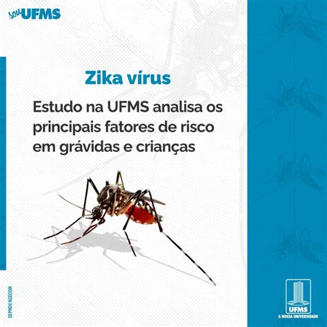 A Zika vírus és a mikrokefália kapcsolata